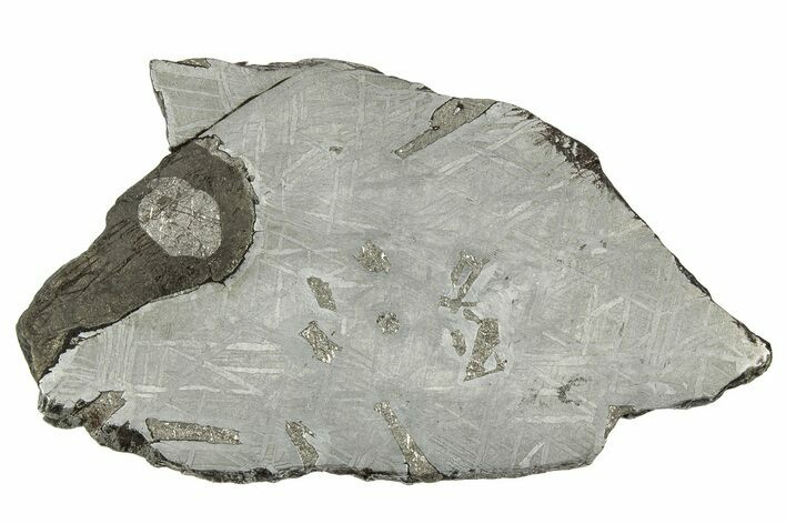 Etched Saint-Aubin Iron Meteorite Slice ( g) - France #346531